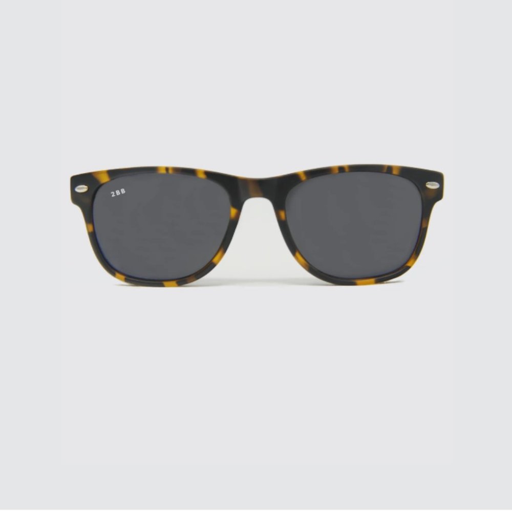 Cavalier Sunglasses Tortoise
